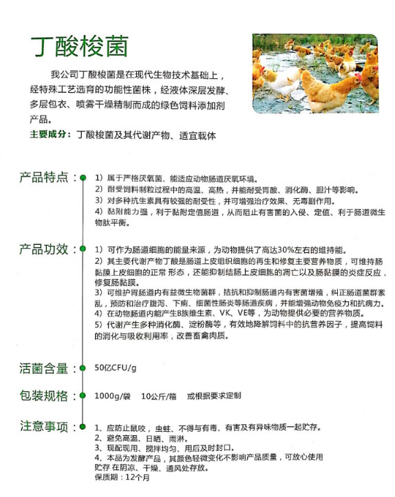 丁酸梭菌介紹