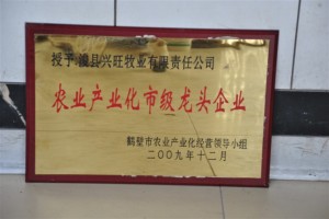 農(nóng)業(yè)產(chǎn)業(yè)化市級(jí)龍頭企業(yè)